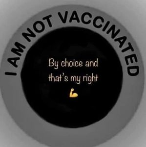 Meet your Posher, Deb